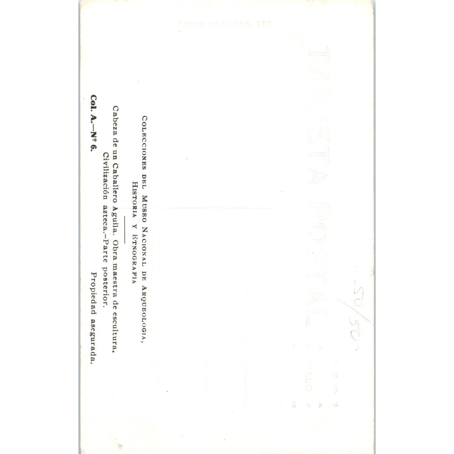 Aztec Sculpture Head of an Eagle Knight RPPC Original Postcard TK1-21