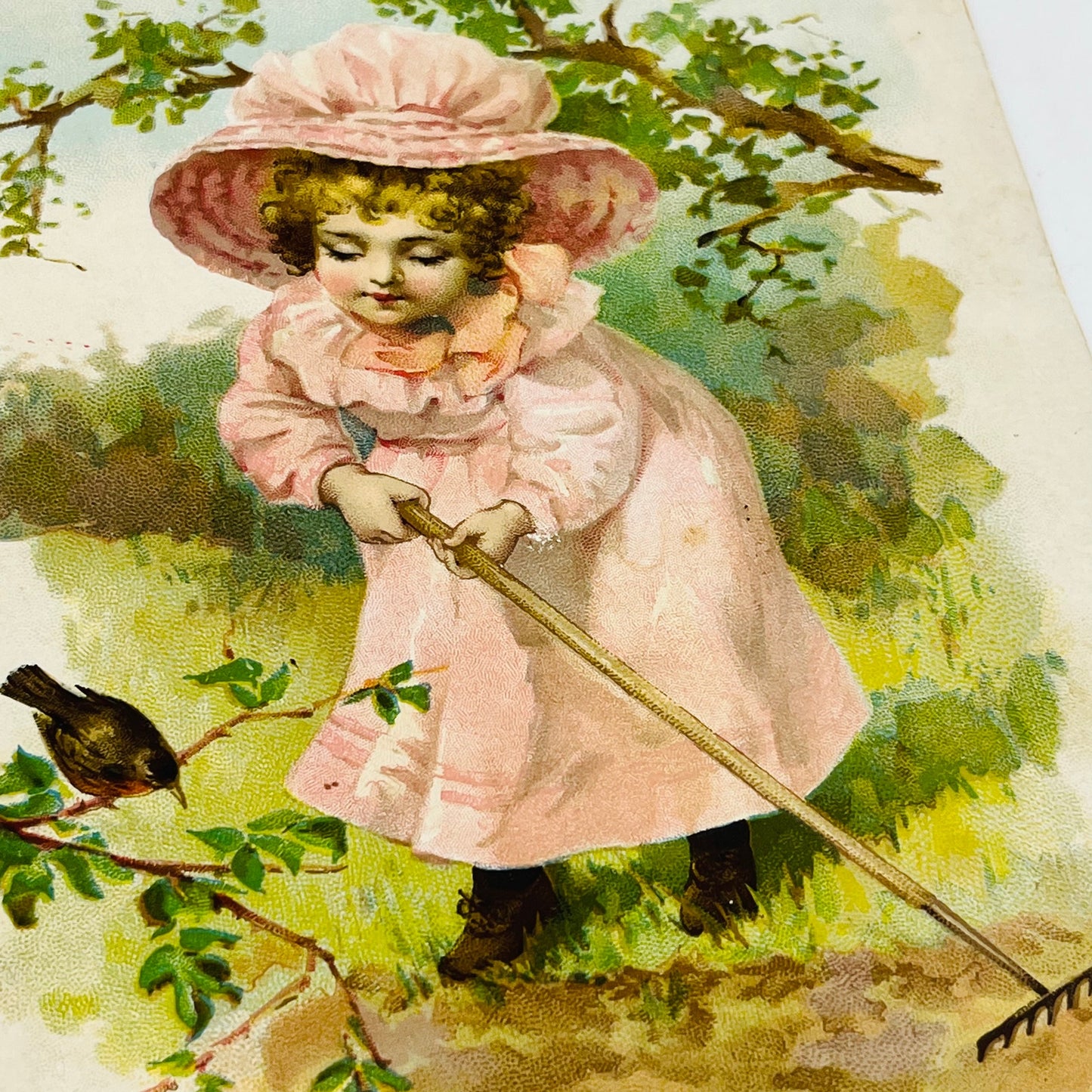 Victorian 1800s Trade Card Lion Coffee Adorable Girl in Pink Raking Robin AH9-2