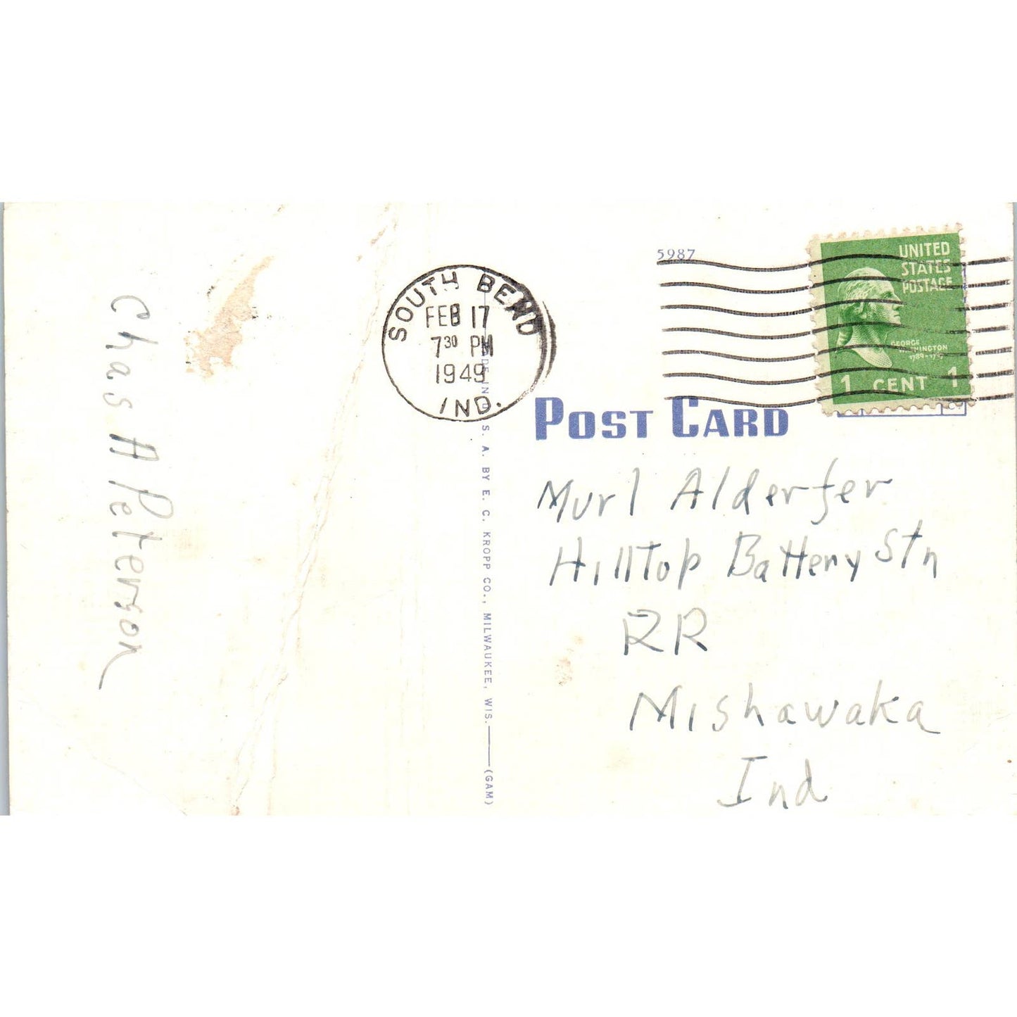 Flier Education, Funny Dog Flying Terms, Comic Humor Original Postcard TK1-27