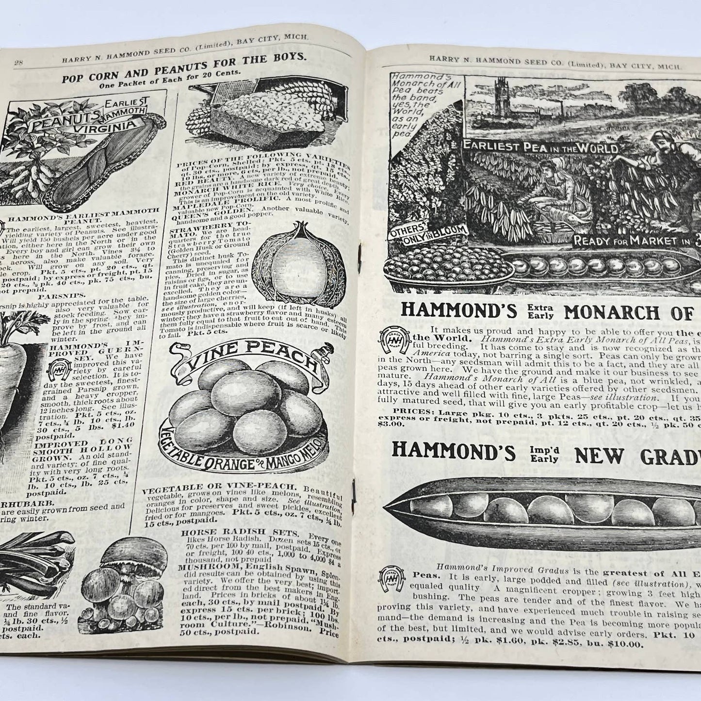 Harry Hammond Seed Co. 1904 Catalog Bay City MI Giant Potato Sensation TF7