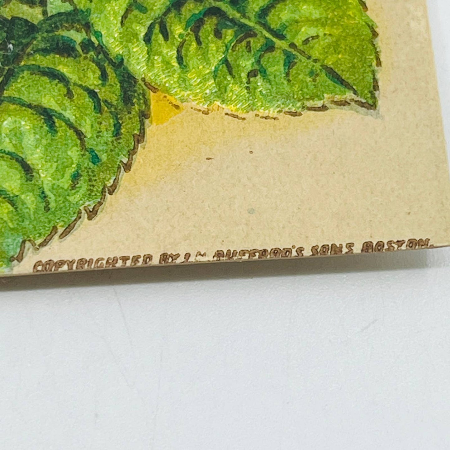 1880s Victorian Reward of Merit Award Card Pink Cabbage Rose Boston AA2