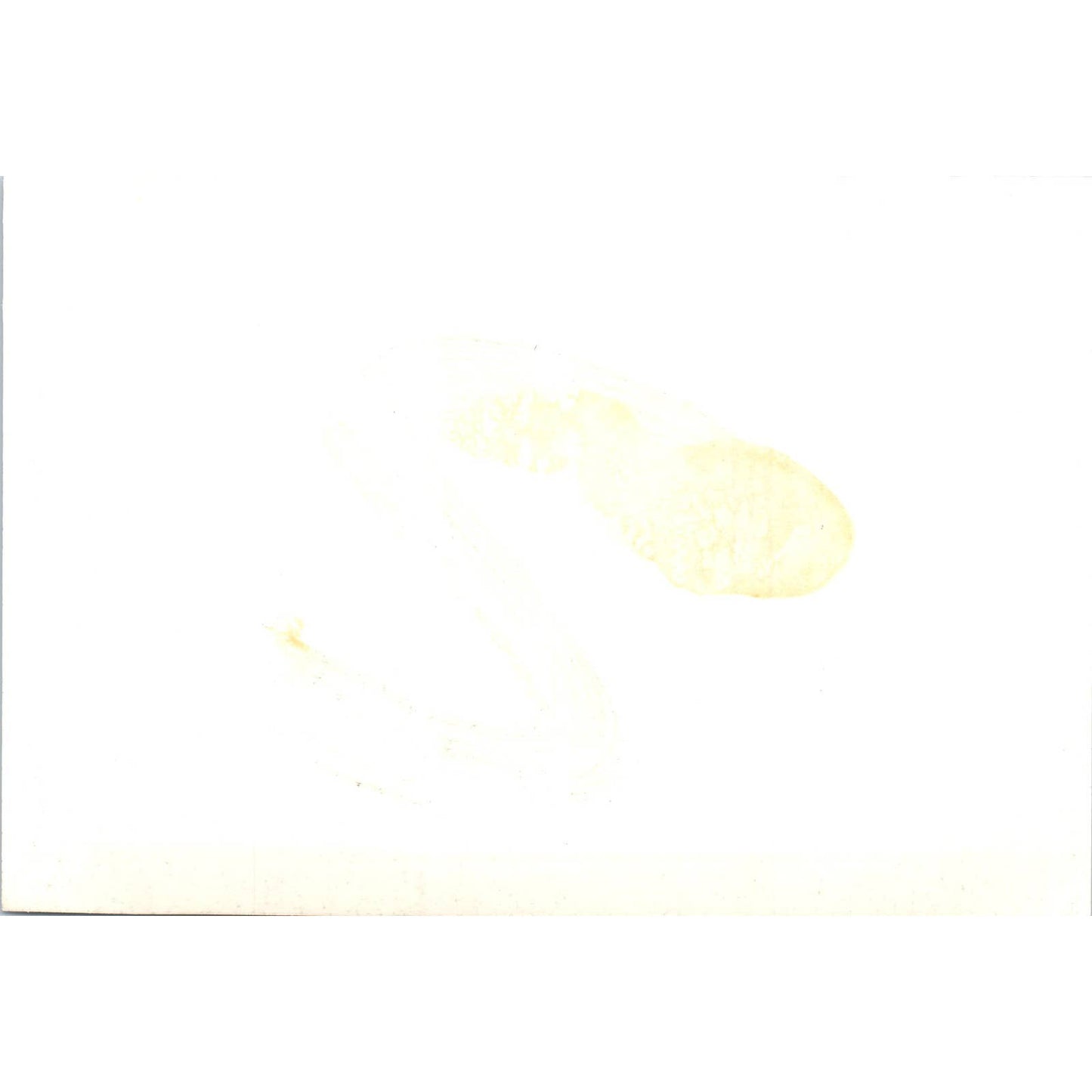 Japan Ambassador Takeuchi Forbes Hall Auditorium 1966 Original Photo 5x7 TK1-P4