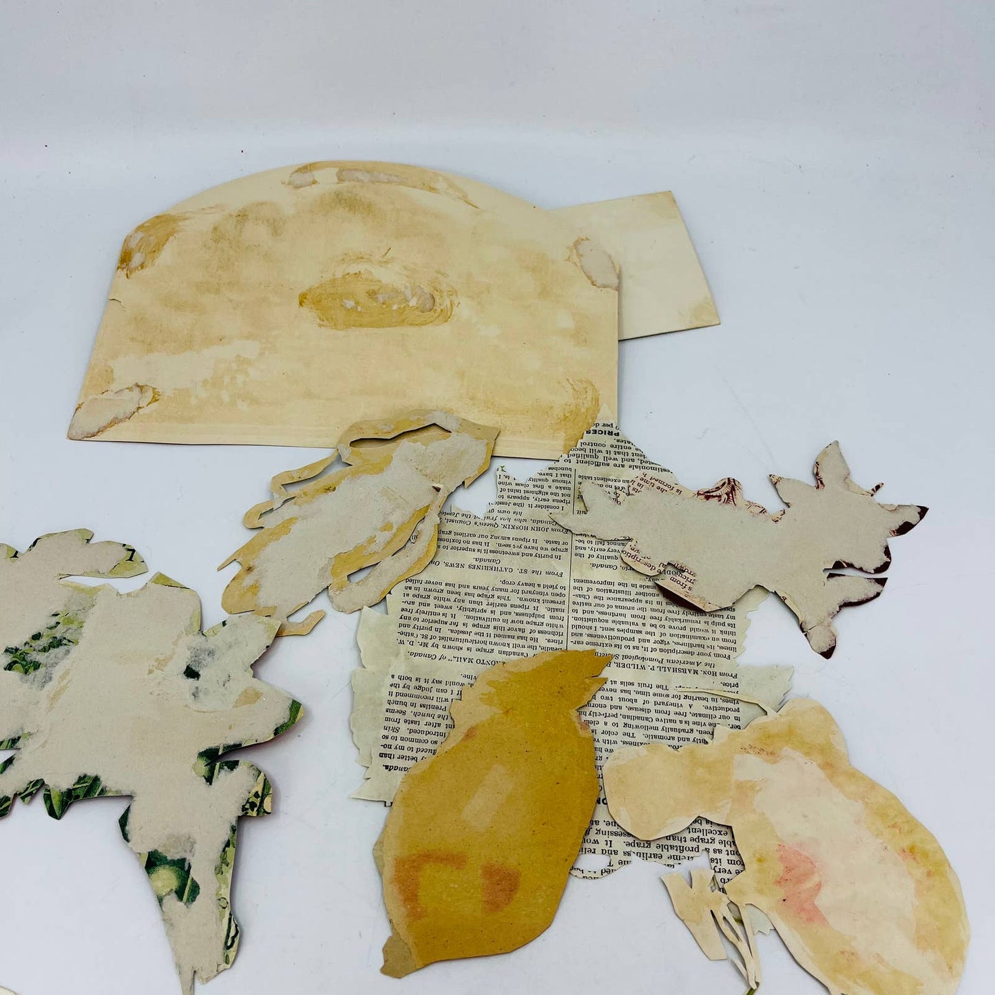 ANTIQUE Lot of 8 Victorian Lithograph Cut Outs Fruit Vegetable Flora AA3