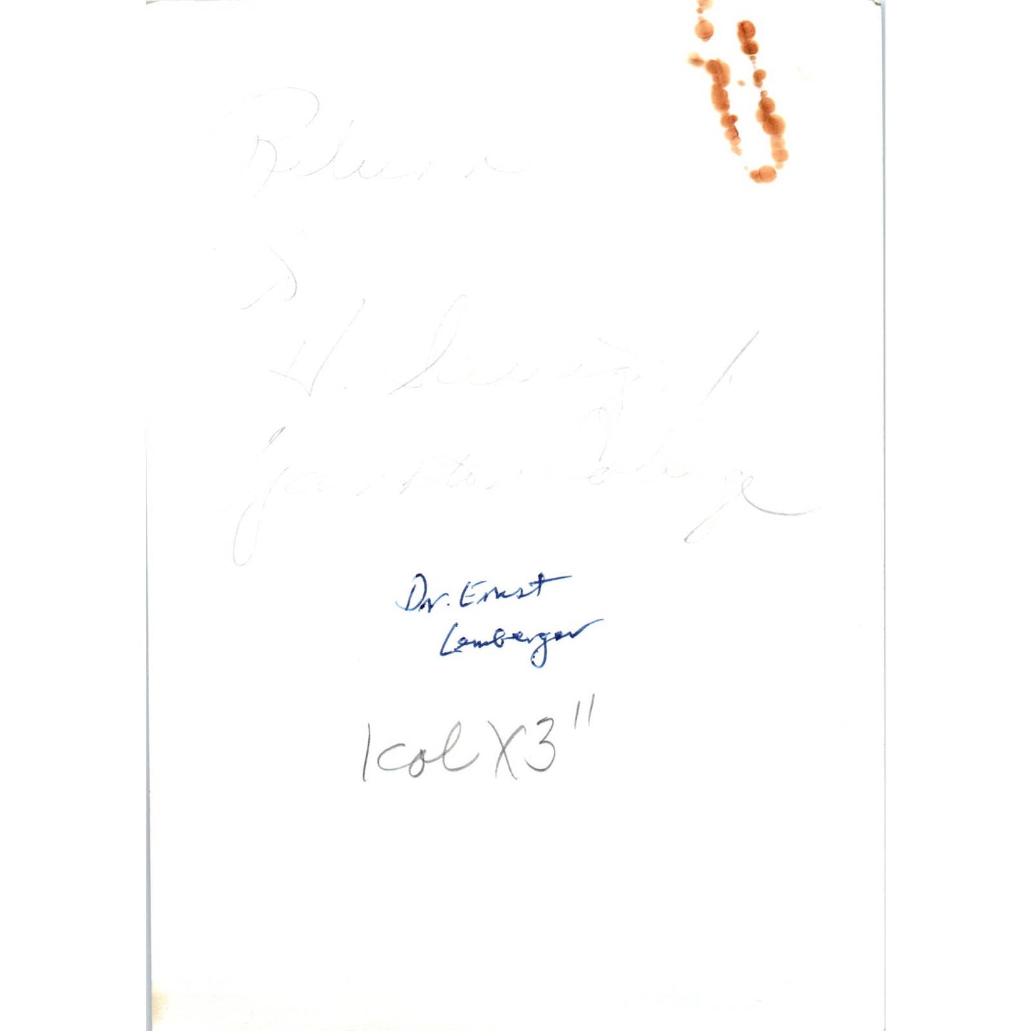 Ernst Lemberger Austrian Ambassador 1966 Original Photo 5x7 TK1-P5