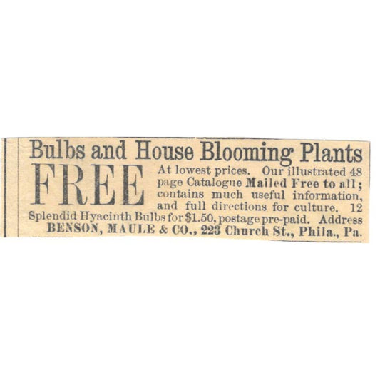 Bulbs & House Plants Benson, Maule & Co Philadelphia - Ad 1878 Original TJ7-L2-3