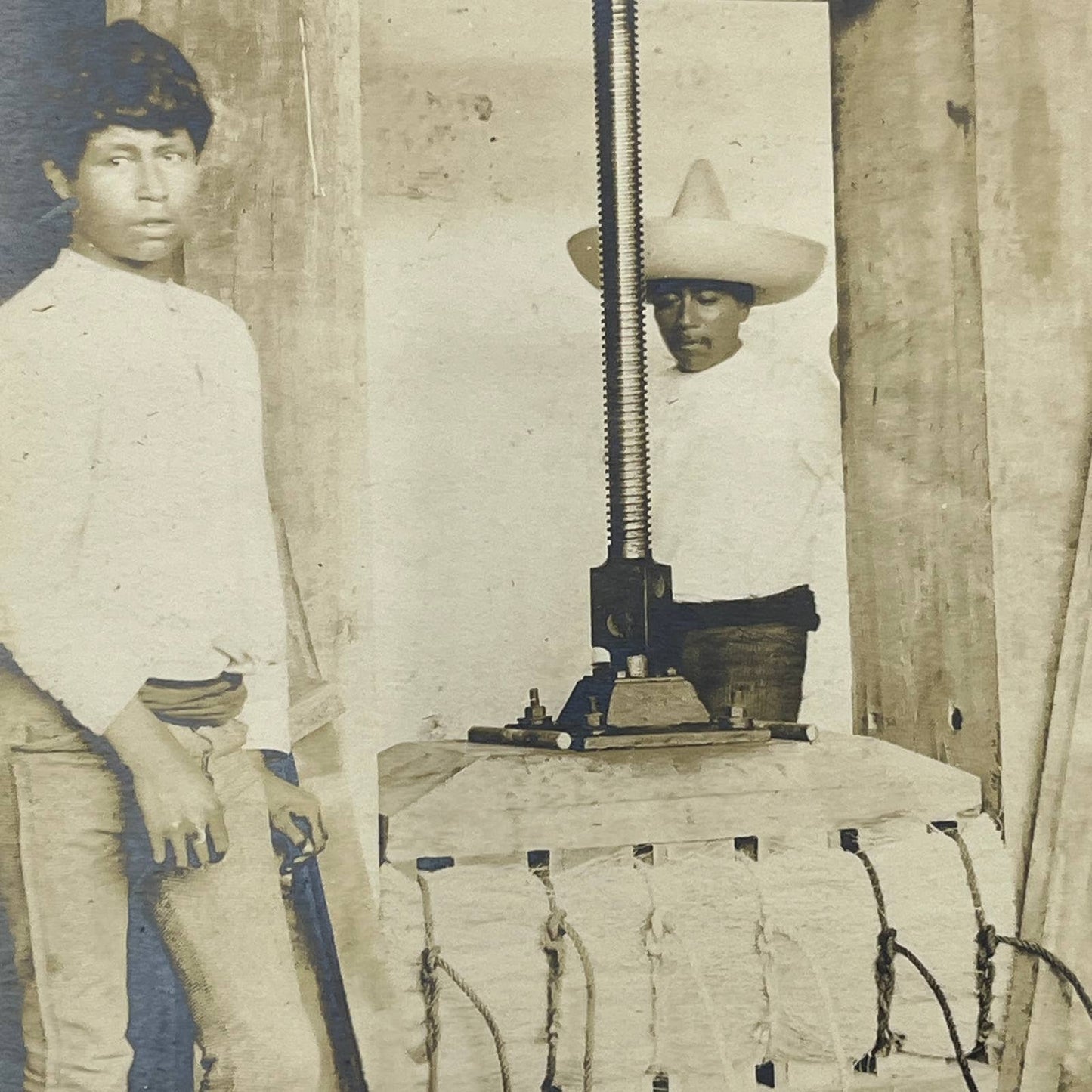 1903 Original Photograph Compressing & Baling Broomroot Las Vigas Veracruz AC7
