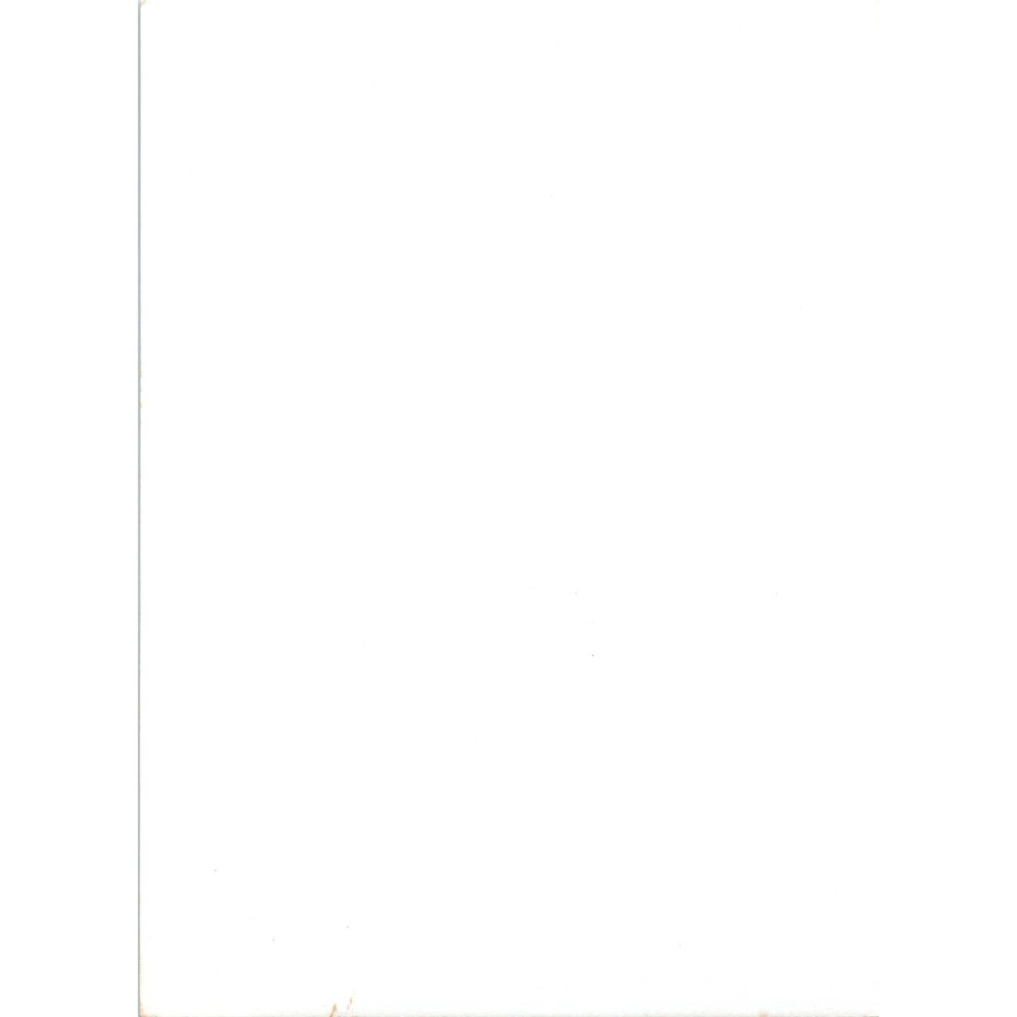 c1970 Original Photograph Fishing Trip - Man w/ Giant Fish 5x7 AD6