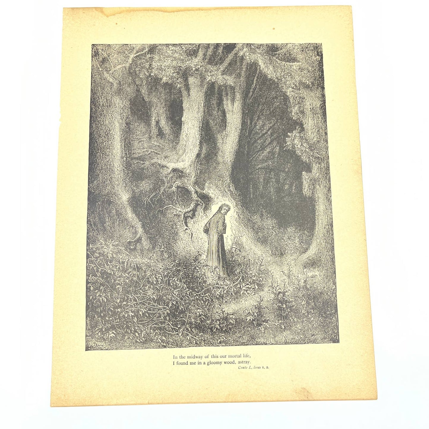 Original 1880s Gustave Dore Engraving Divine Comedy Dante in the Dark Forest FL4