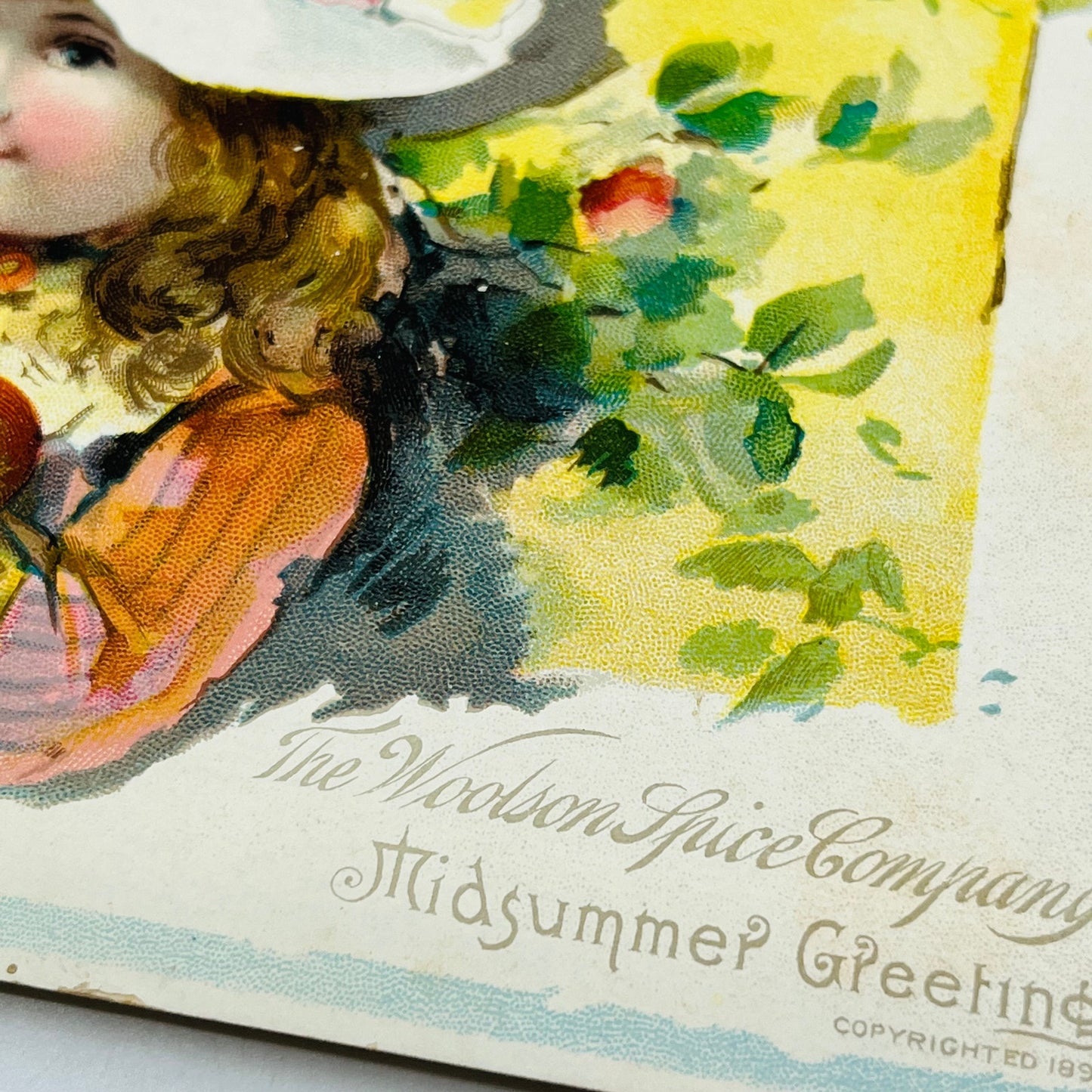 Victorian 1891 Trade Card Lion Coffee Woolson Toledo Girl Picking Peaches SAH9-2