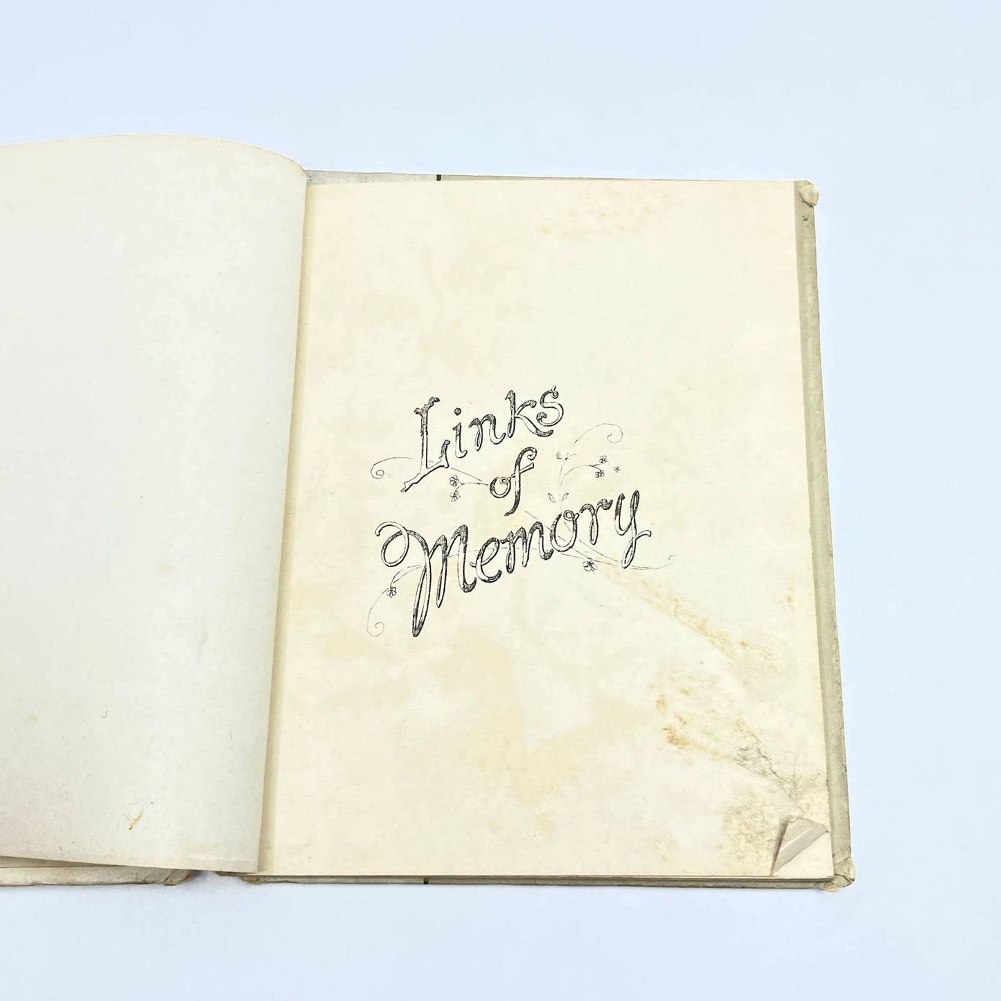 c1900 Links of Memory Victorian Poem Flower Book HC TG2