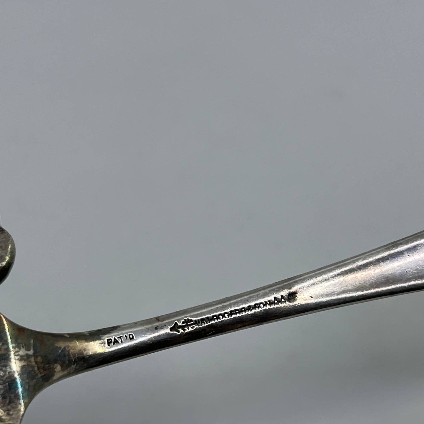 WM ROGERS & Son AA SILVERPLATE Bird of Paradise Floral Cake & Pie Server 8” SE1