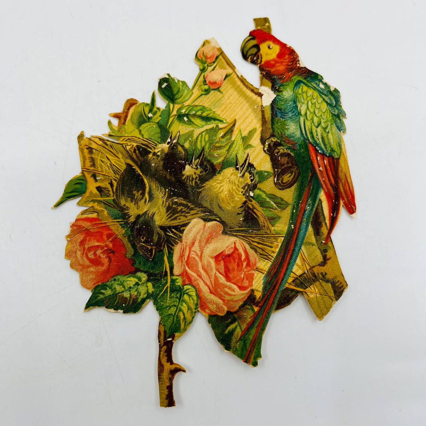 1880s Embossed Victorian Die Cut Parrot Feeding Babies Pink Roses 6 x 4” AA2