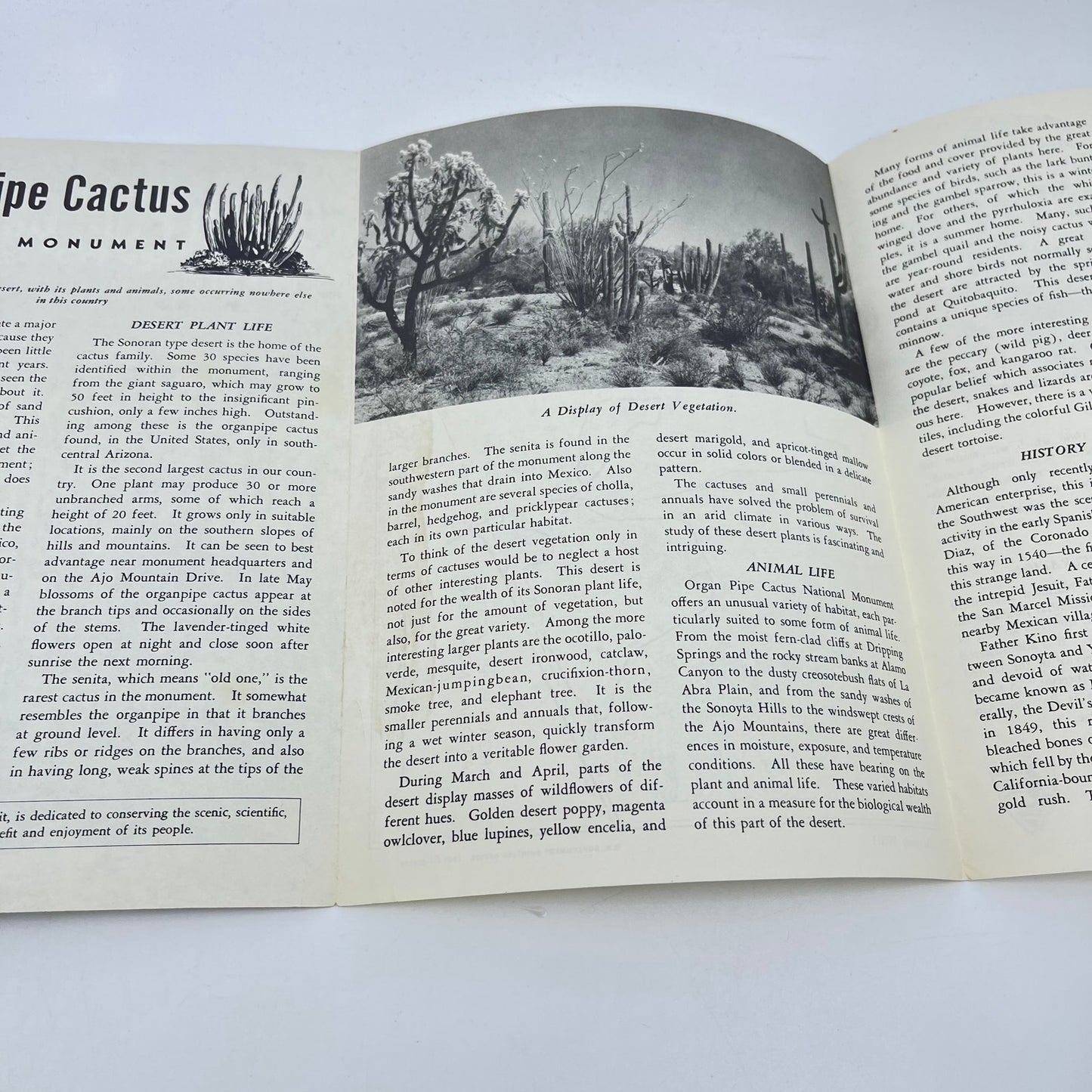 1961 Organ Pipe Cactus Fold Out Brochure National Monument Arizona L4-6