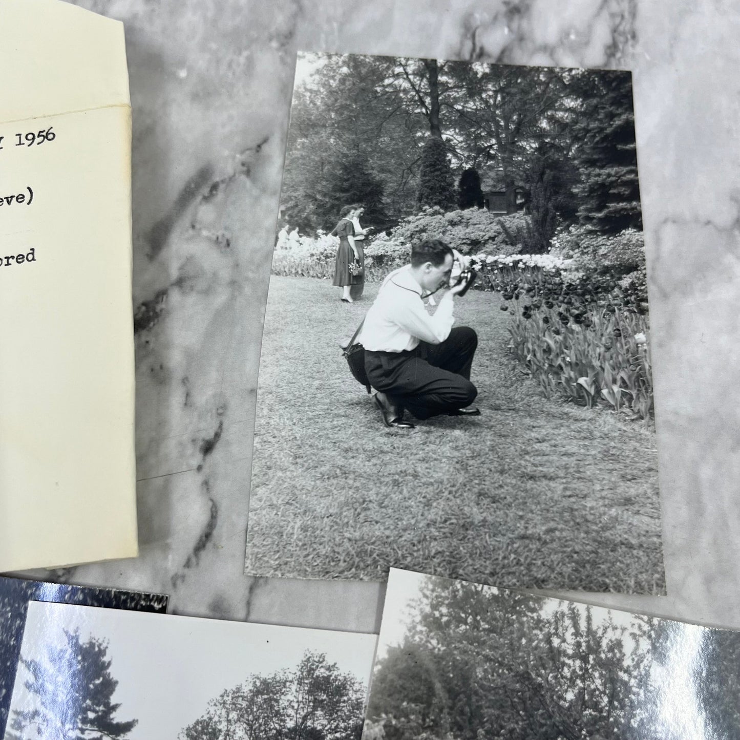 1956 Photographs of Frank Davis at Sherwood Gardens Baltimore MD P4-9