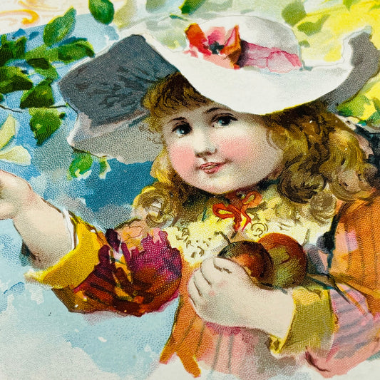 Victorian 1891 Trade Card Lion Coffee Woolson Toledo Girl Picking Peaches SAH9-2