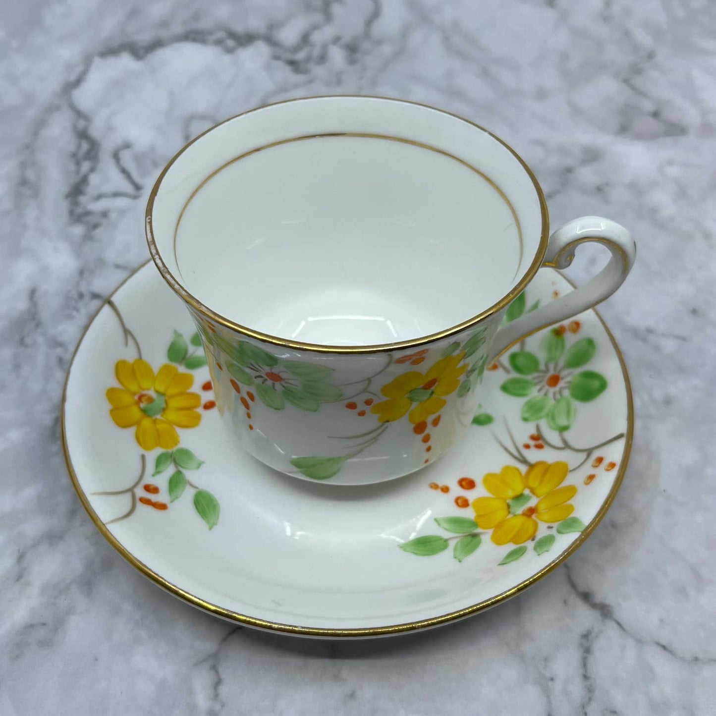 Cup & Saucer Hand Painted Floral Phoenix Bone China Thomas Forester & Sons TA7