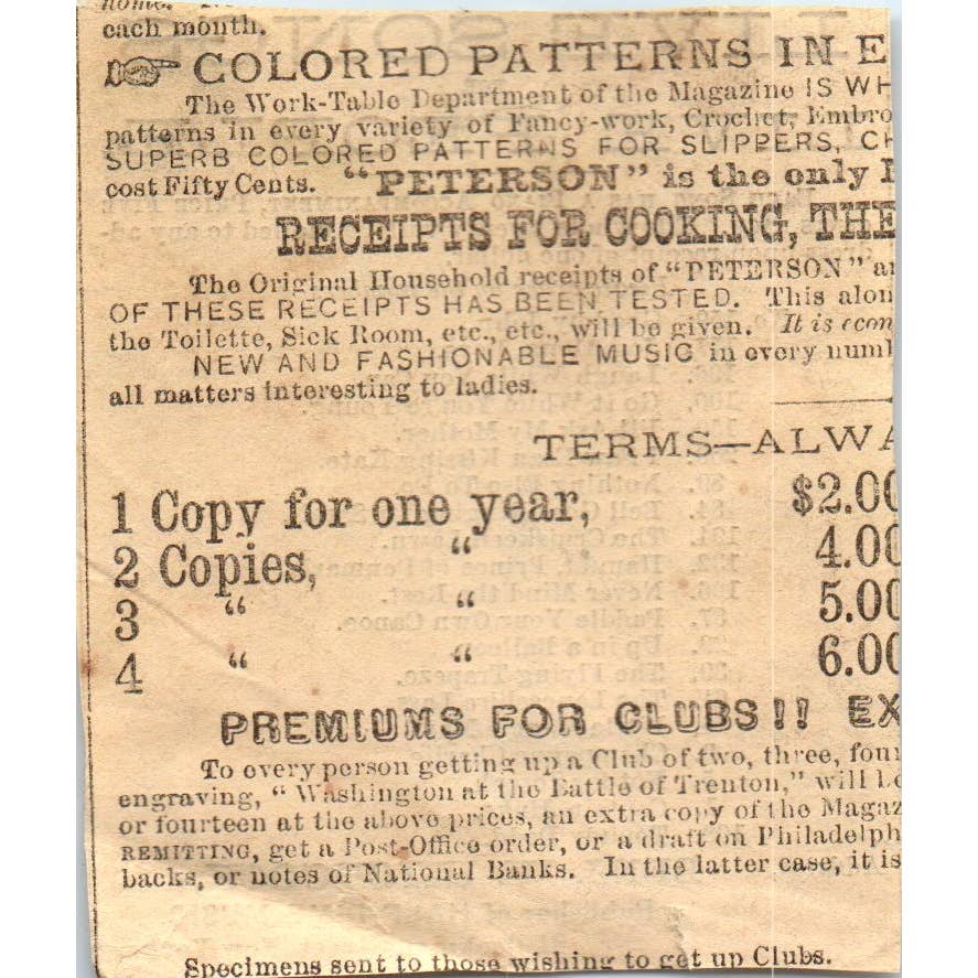 1878 Peterson's Magazine Ad - Live Songs for the People Ben W. Hitchcock NY SF2