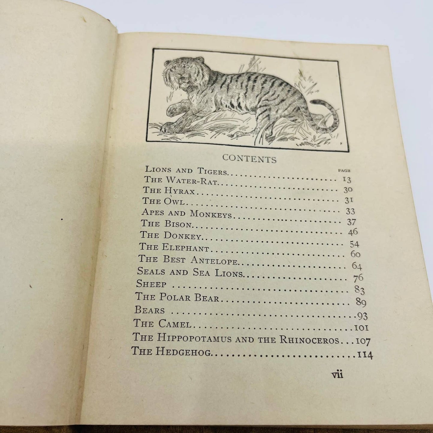 1902 Animal Stories for Little People - Children’s Book 70 Illustrations TD5