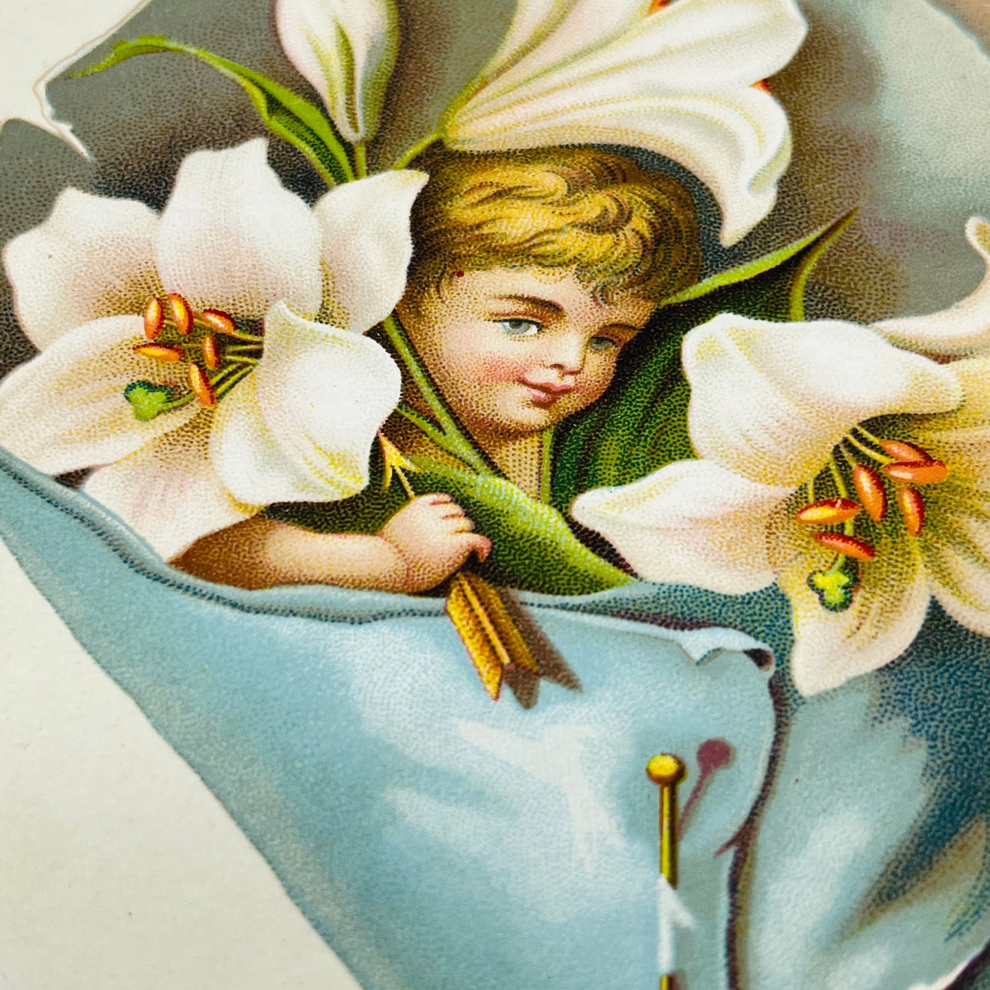 Victorian 1800s Trade Card Magnolia Cherub James B Hall Millinery Troy NY SAH9-2