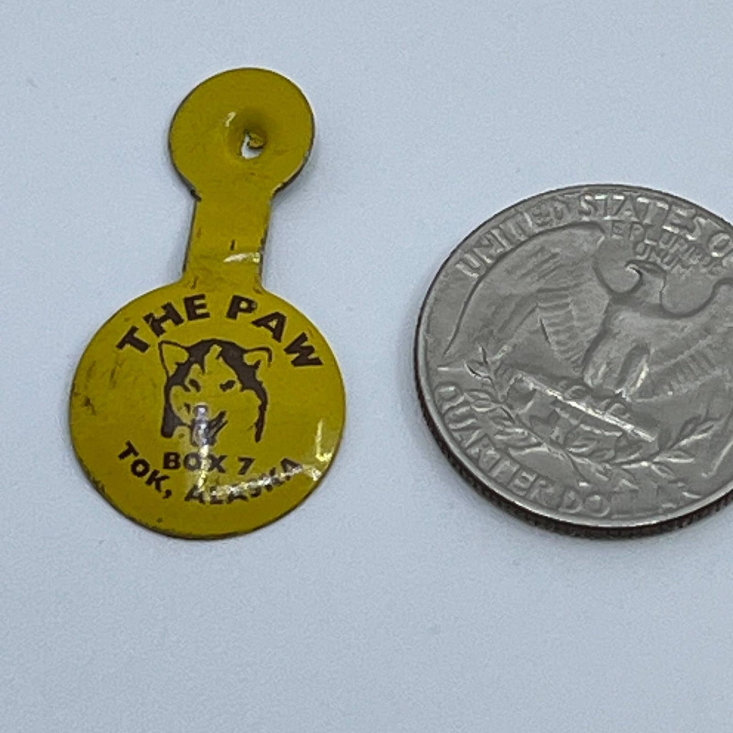 Vintage The Paw Tok, Alaska Husky Dog Pinback Button SD9