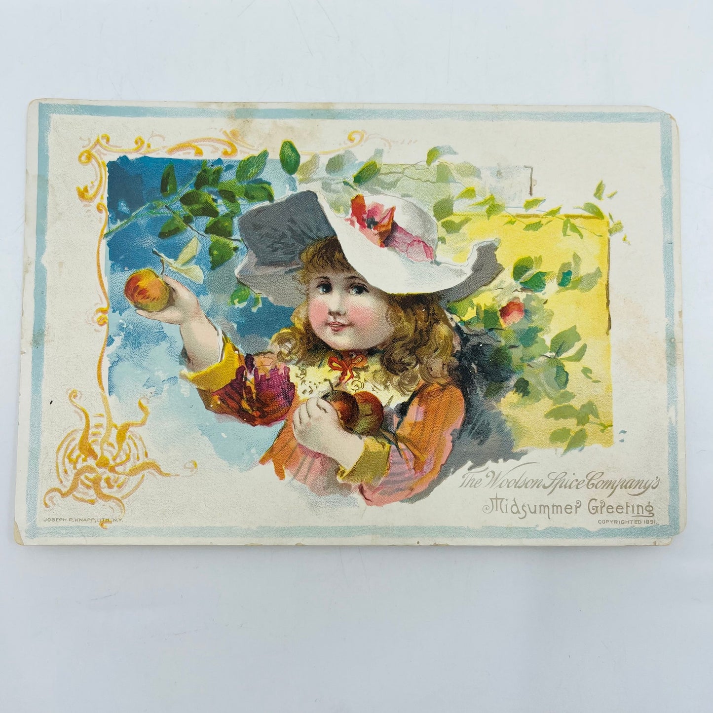 Victorian 1891 Trade Card Lion Coffee Woolson Toledo Girl Picking Peaches SAH9-2