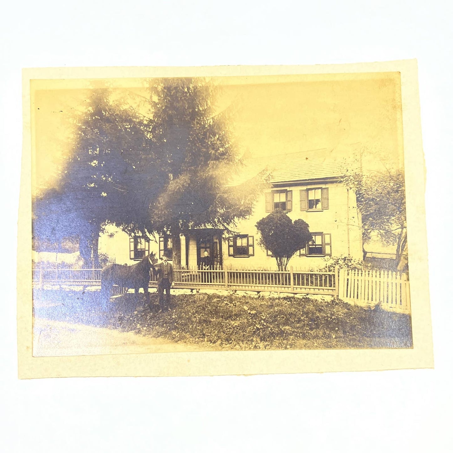 Antique Victorian Photo Man in Top Hat Posing With Horse & Wife 6x8 AC3
