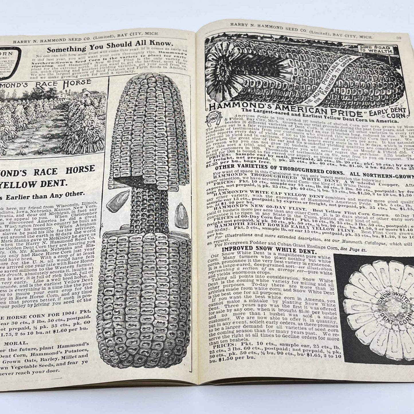 Harry Hammond Seed Co. 1904 Catalog Bay City MI Giant Potato Sensation TF7