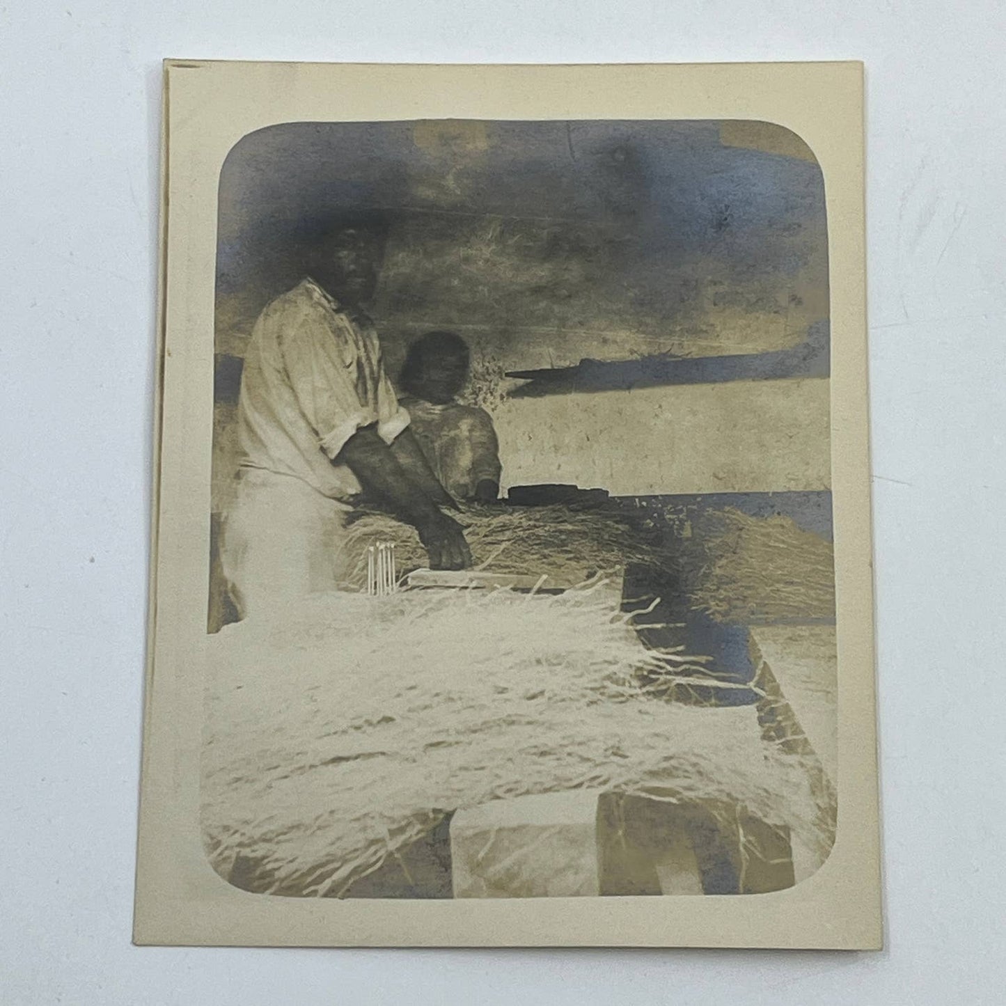 1903 Original Sepia Photograph Bundling Broomroot Las Vigas Veracruz Mexico AC7