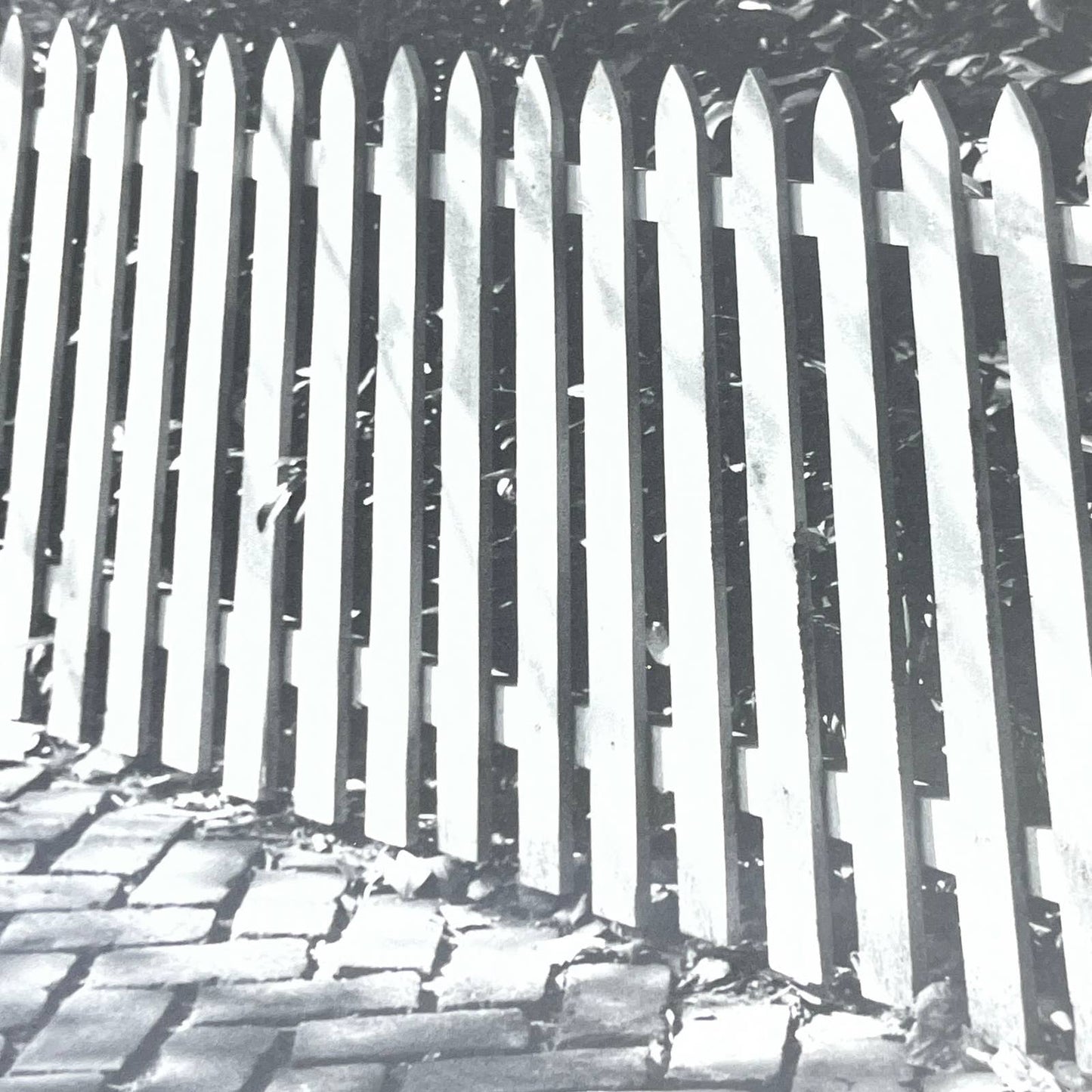 Vtg Original B&W Photo Picket Fence Randolph Allen Kennedy 11x14 FL4-1