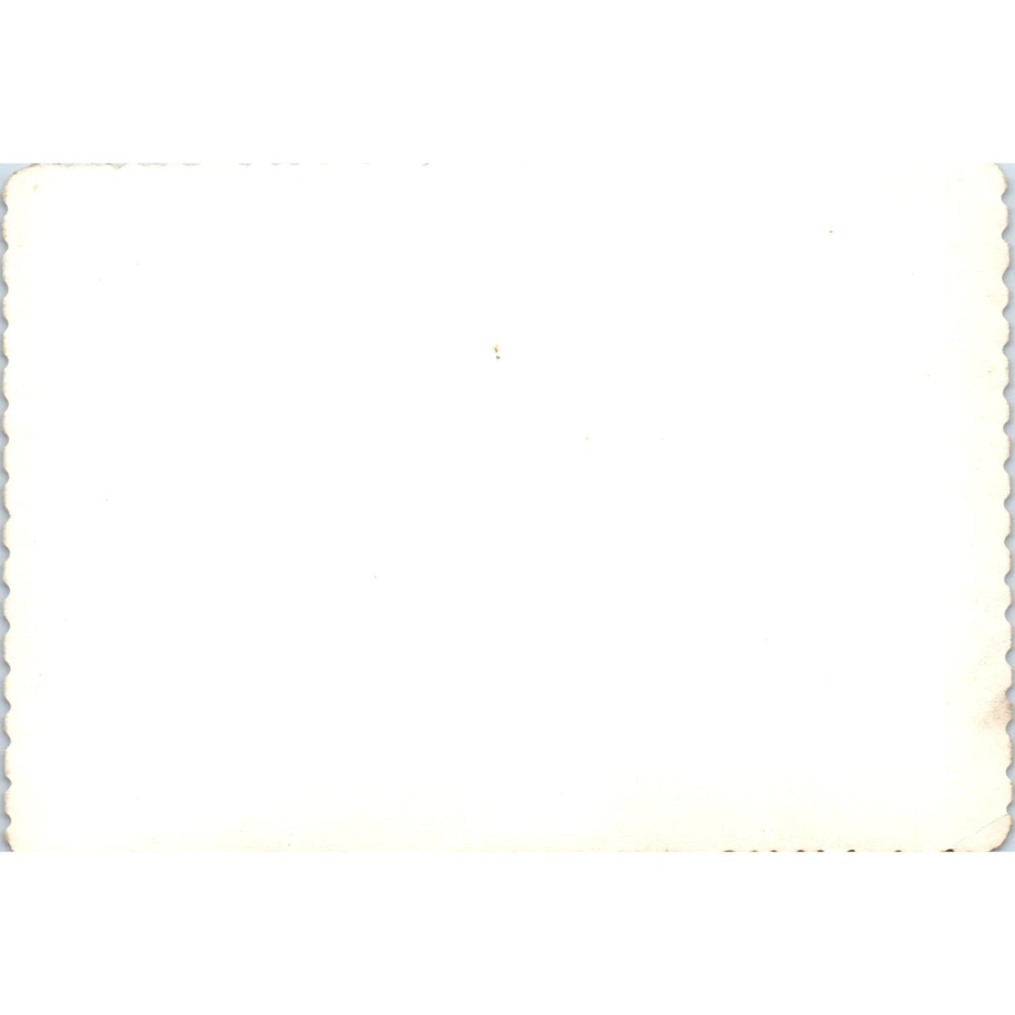 Vtg Original Photograph Los Angeles Angels Baseball Team Photo 3.5x5 AD8-P5