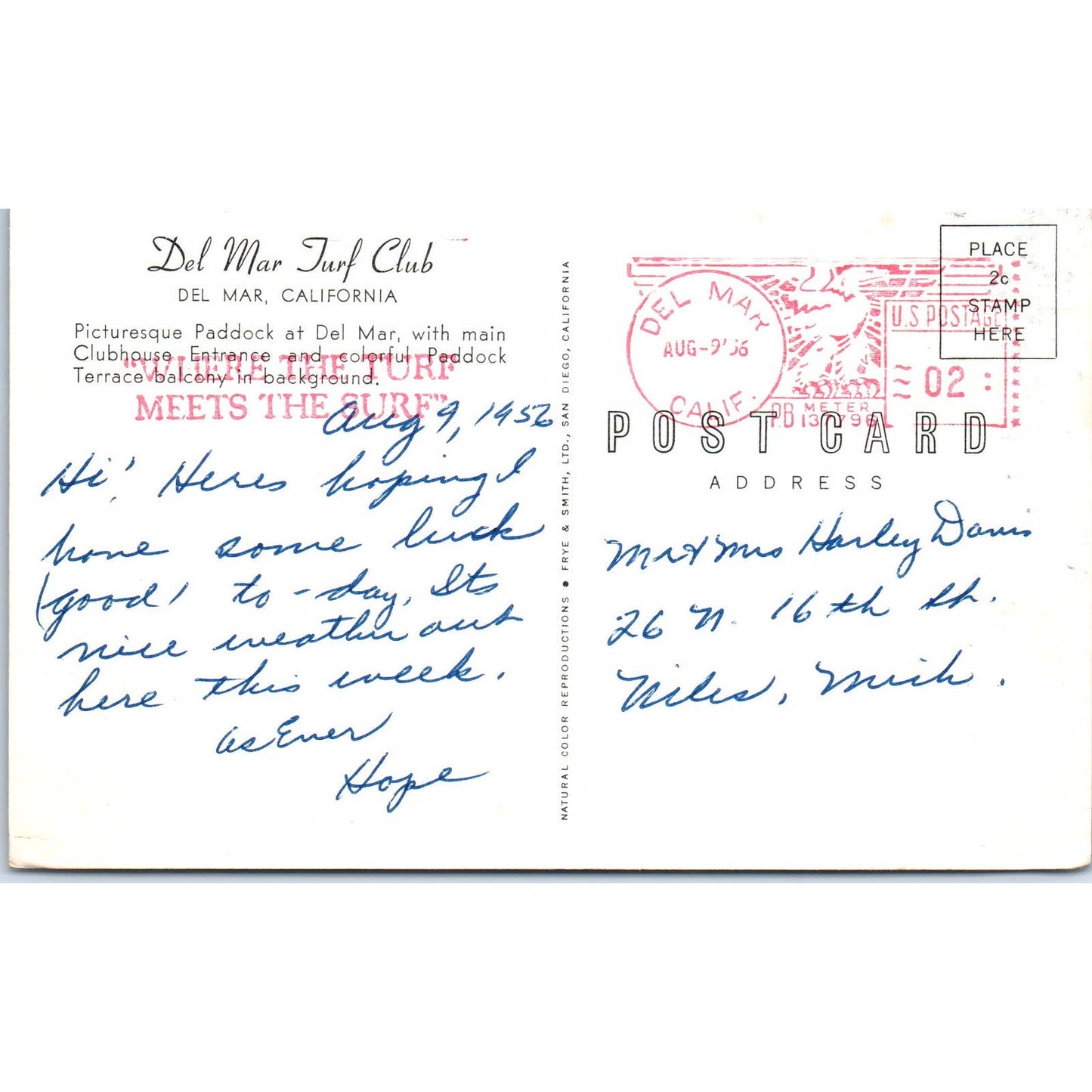 Del Mar Turf Club Horse Racing 1956 Original Postcard TK1-23