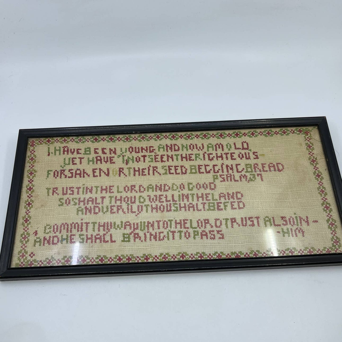 Antique Framed Cross Stitch Sampler Art Psalm 37 Trust in the Lord TG3