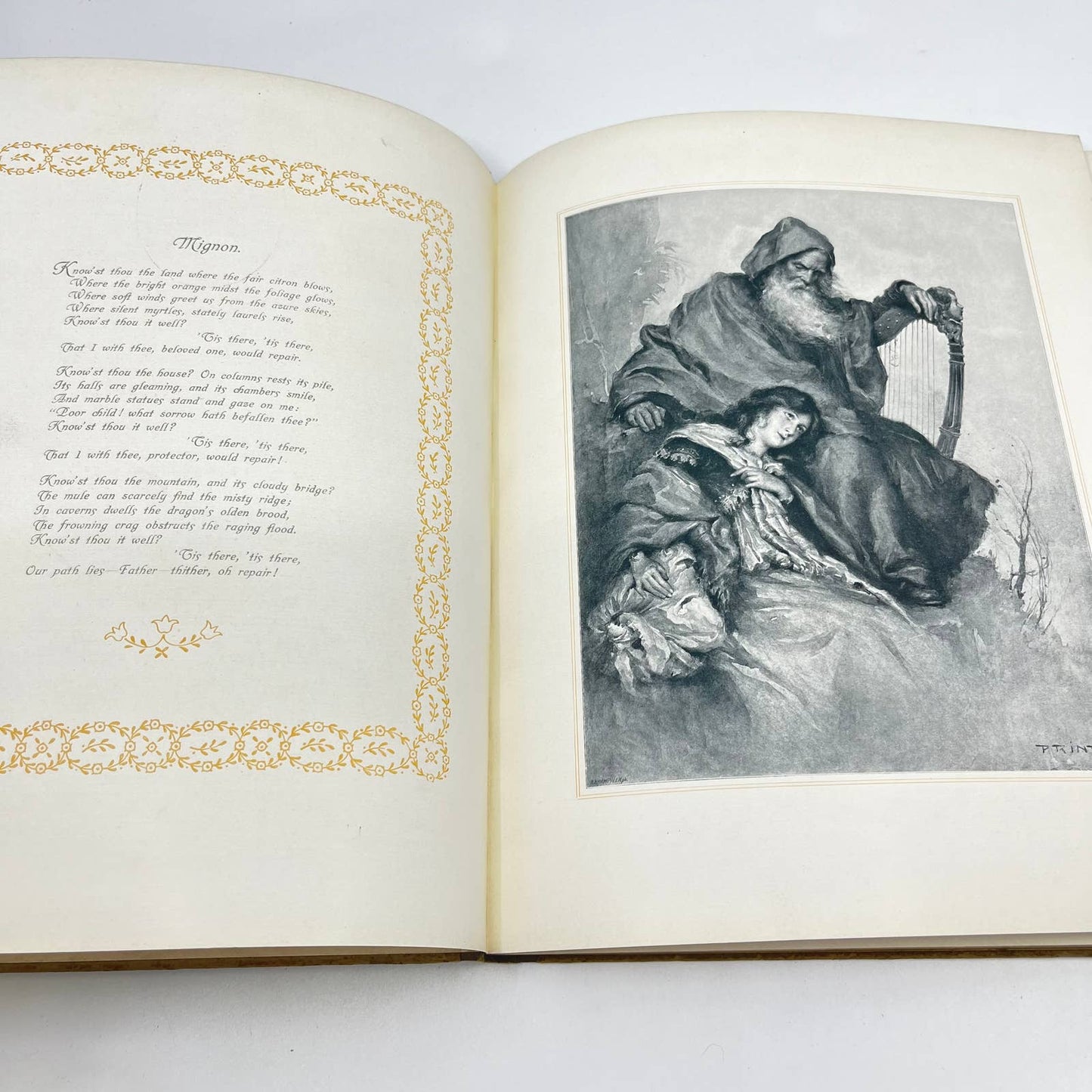 1880s Poems and Prose from Wolfgang Goethe Printed in Vienna Illustrated TF2