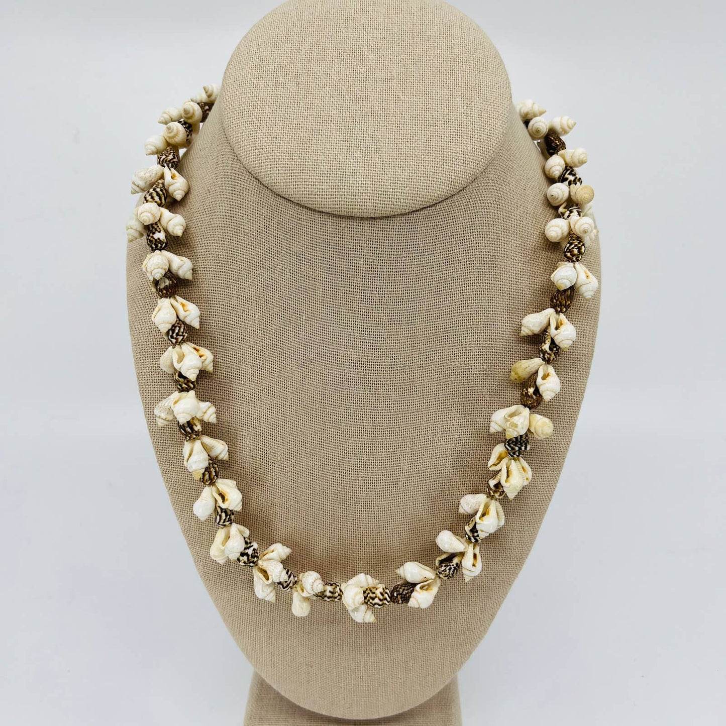 Vintage Boho Long Chunky Tiny Seashell Necklace SB2