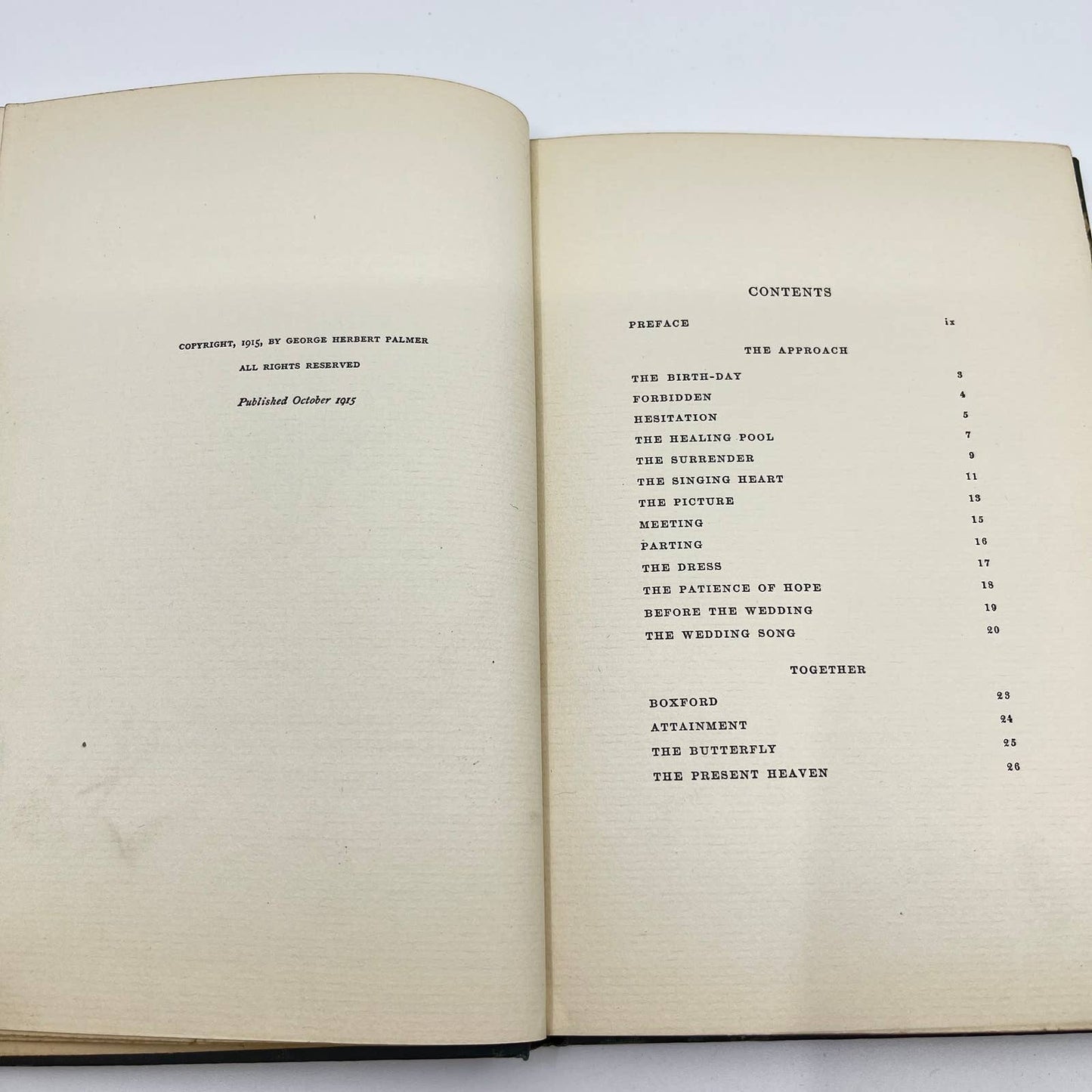 1915 A Marriage Cycle Alice Freeman Palmer Hardcover First Edition TF3