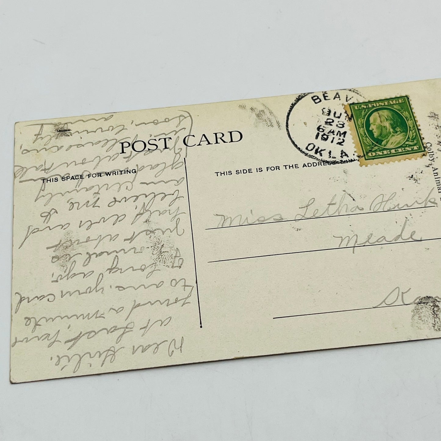 1910s Post Card Humor Illustrated Anthropomorphic Dog and Cat Bashful PA6