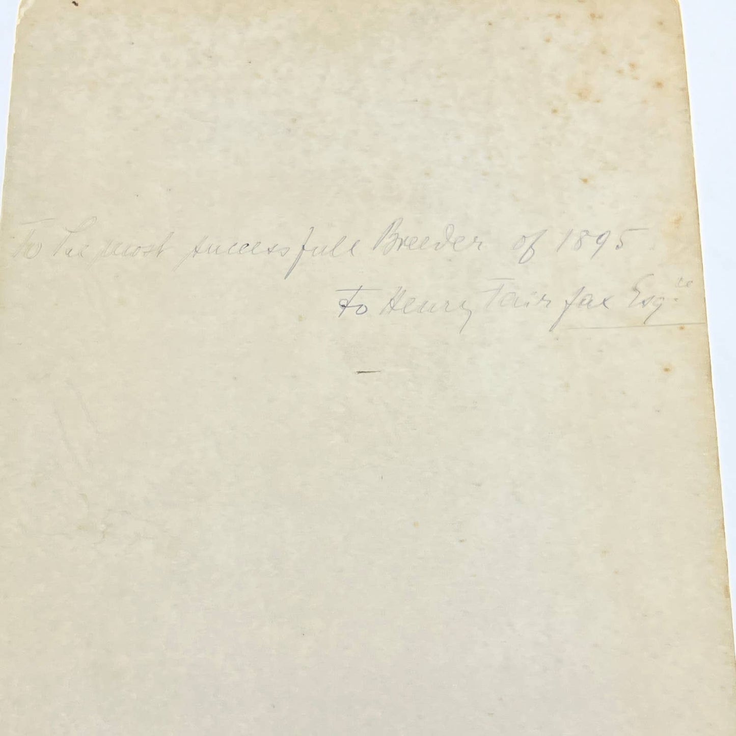 1895 Victorian Photo Man in Tophat & Horse Carriage Driving Whip 7.5x13 FL4