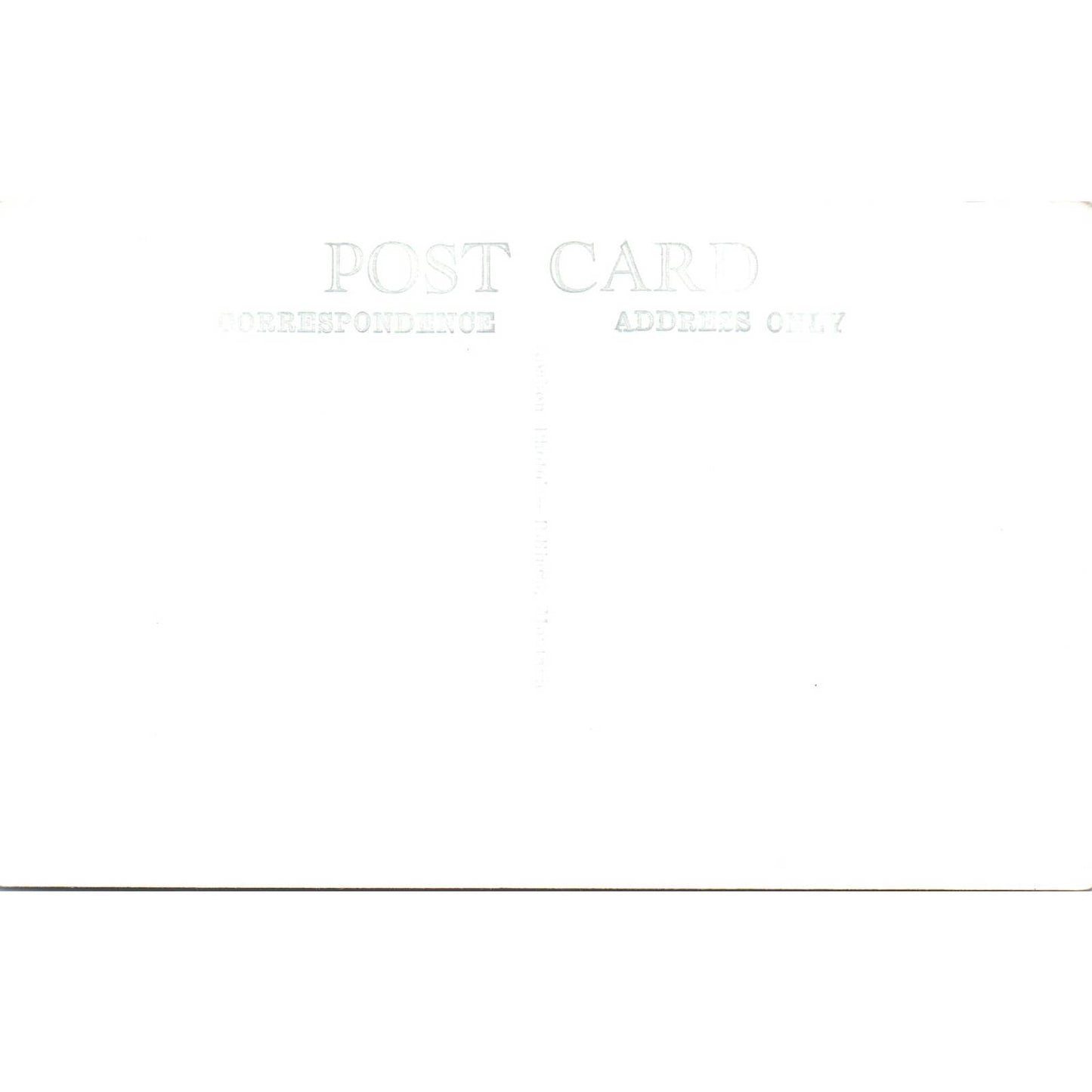 Antique Postcard RPPC Trumpeter Swan Montana SE8