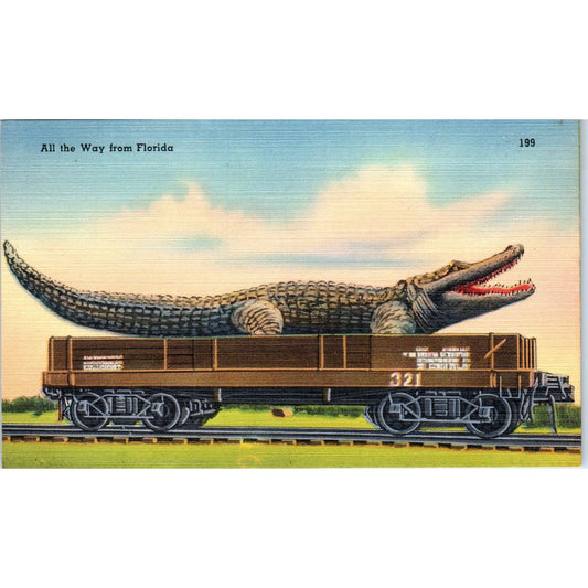 Giant Alligator From Florida on a Train Car Humor Original Postcard TK1-24