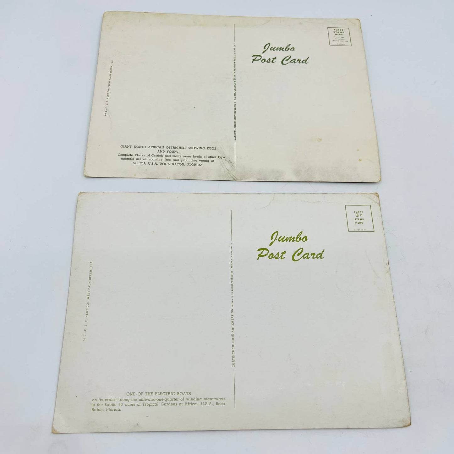 Set of 2 Vintage MCM Jumbo Florida Postcards Ostrich Boca Raton 9 x 6.5” C7