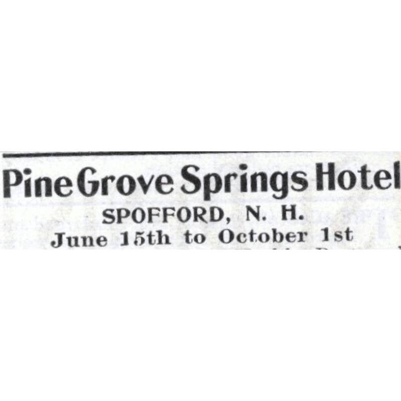 Pine Grove Springs Hotel Spofford NH Atkins & Messer - 1903 Original Ad TJ7-S9