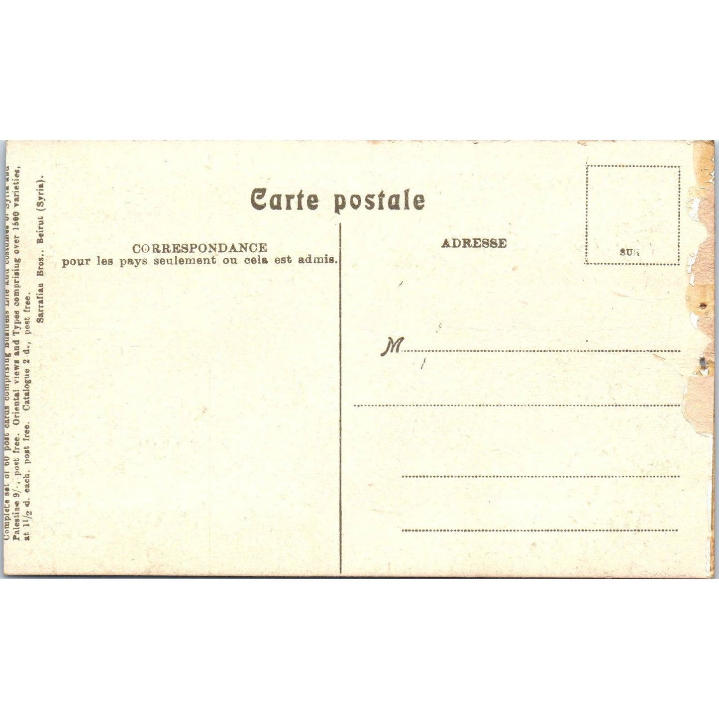 Baalbek La Colonnade de L'Ancienne Mosquée Original Postcard TK1-24