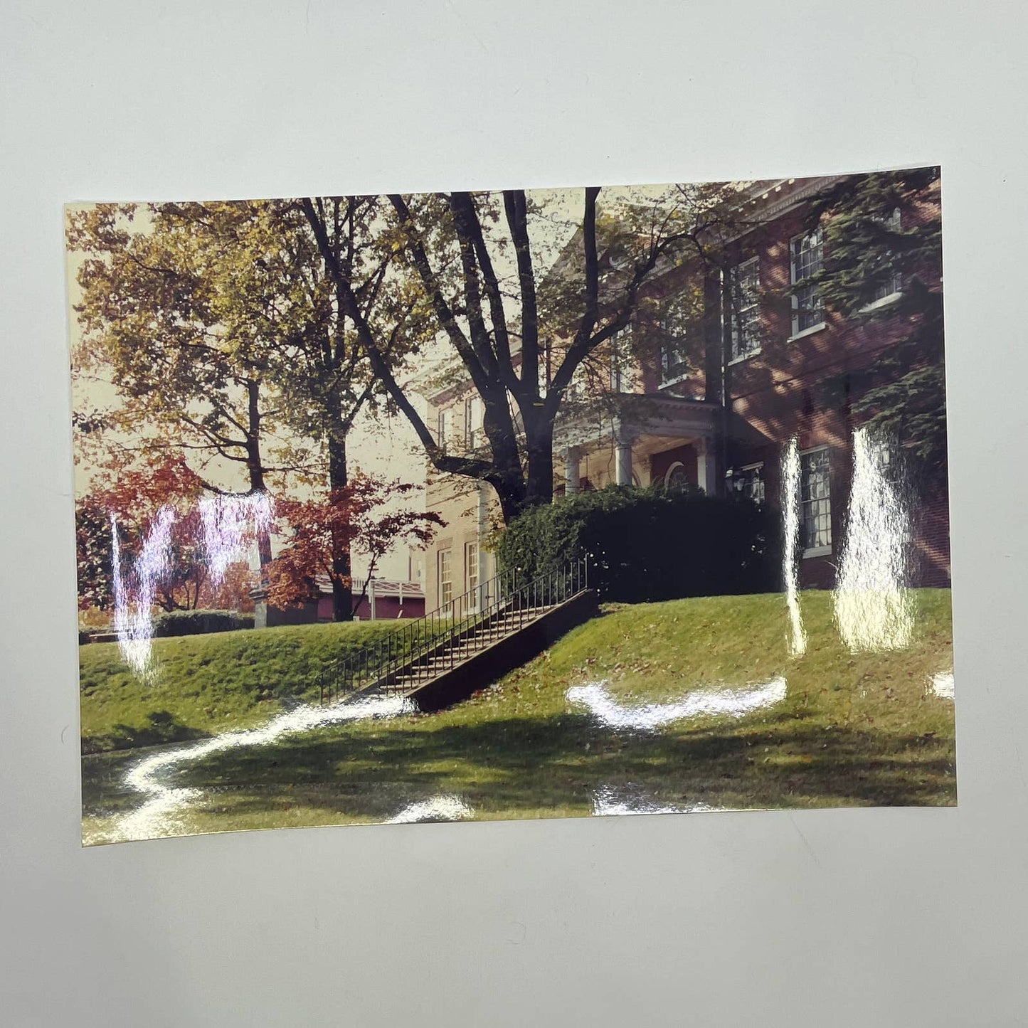 Vintage c1970 Original Photograph Tufts University Medford, MA 8x11 AC3