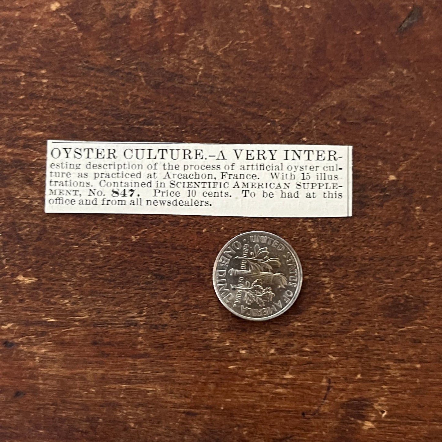 Oyster Culture Arcachon France Original Advertisement AD8-P28