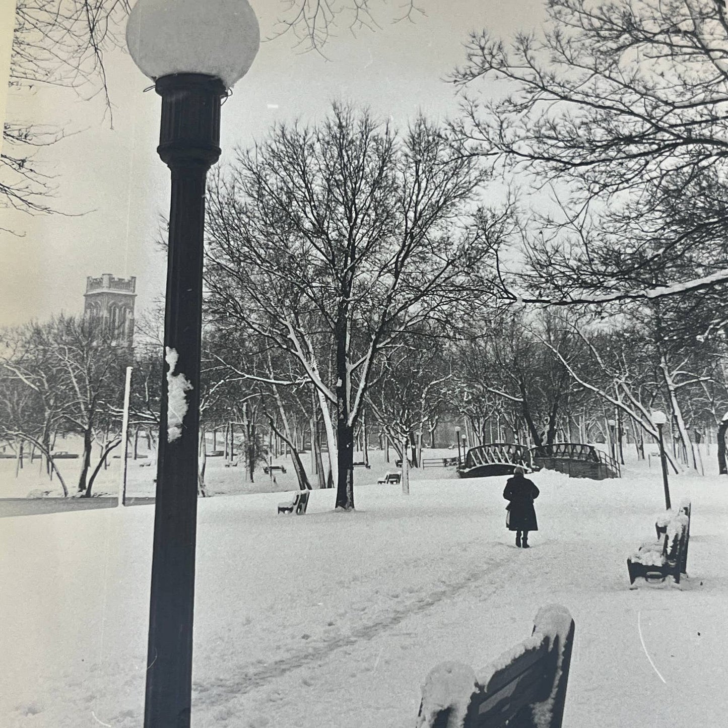 1962 Star Tribune Newspaper Original Photograph Loring Park Minneapolis MN AC4-6