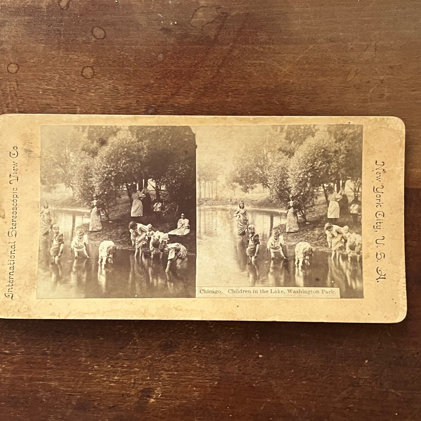Chicago Children in the Lake Washington Park Antique Stereoview Card TJ9-V2