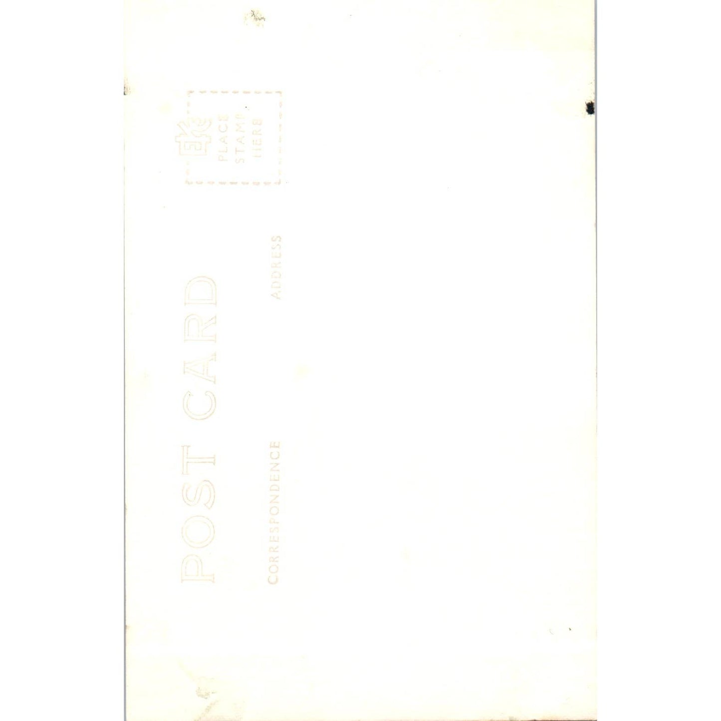 Pacific Coast Block Tail Buck Deer Redwood Highway CA RPPC Postcard TK1-27