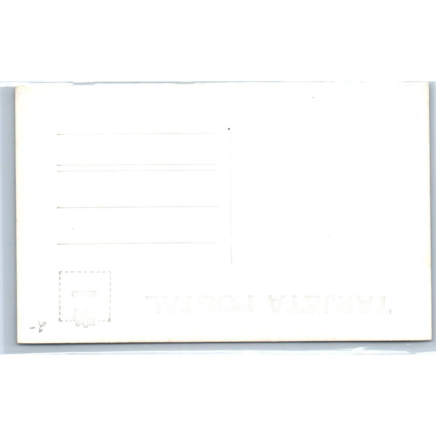 San Chgual De Allende Mexico - Original RPPC Postcard TJ7-MP