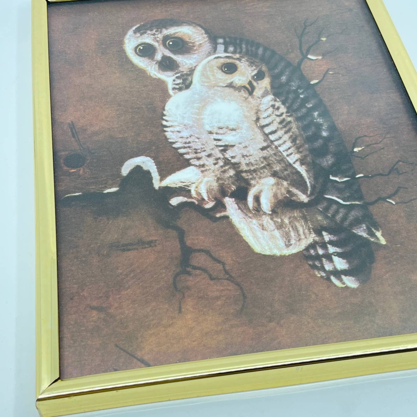 Vintage Framed Print Mother Owl and Baby Owlet 8x10” TE6