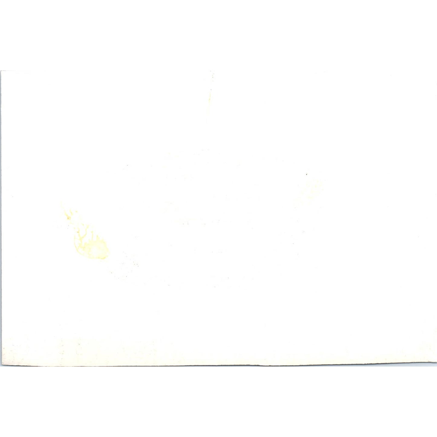 Hall of Flags at Yankton College 1967 Original Photo 5x7 TK1-P4